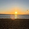 blakecollins512